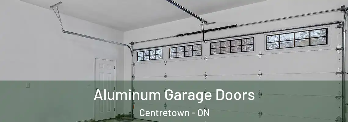 Aluminum Garage Doors Centretown - ON