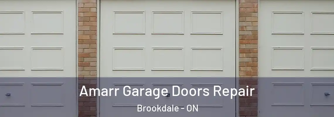 Amarr Garage Doors Repair Brookdale - ON