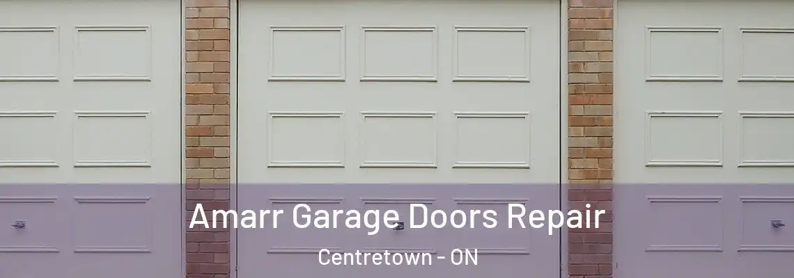 Amarr Garage Doors Repair Centretown - ON