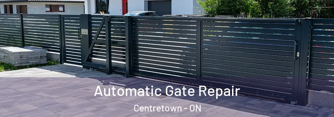 Automatic Gate Repair Centretown - ON