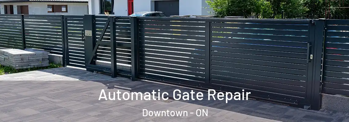 Automatic Gate Repair Downtown - ON