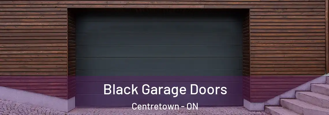 Black Garage Doors Centretown - ON