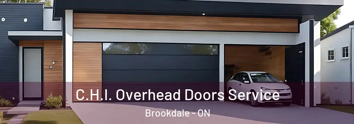 C.H.I. Overhead Doors Service Brookdale - ON