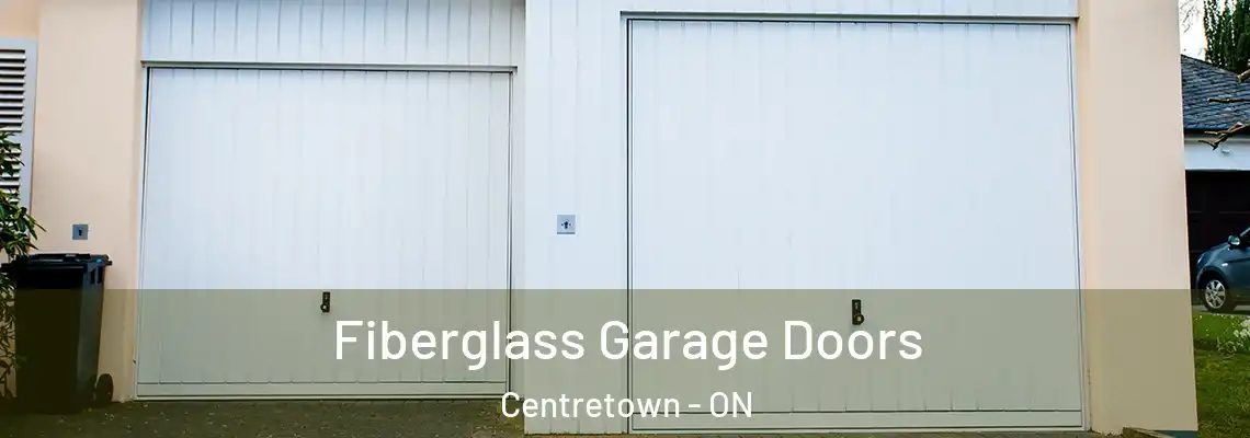 Fiberglass Garage Doors Centretown - ON