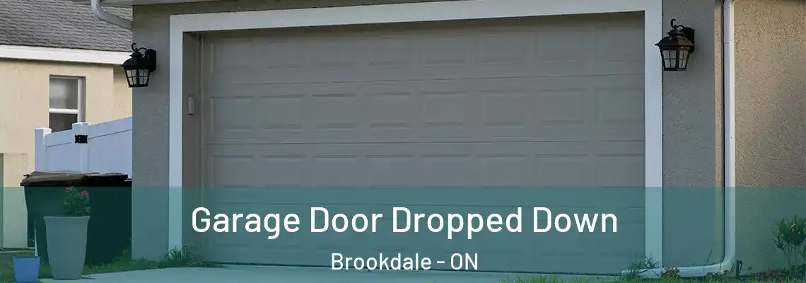 Garage Door Dropped Down Brookdale - ON