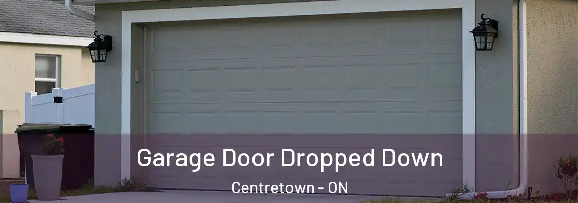 Garage Door Dropped Down Centretown - ON