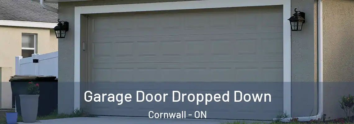 Garage Door Dropped Down Cornwall - ON