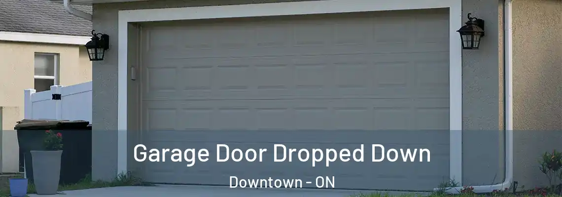 Garage Door Dropped Down Downtown - ON