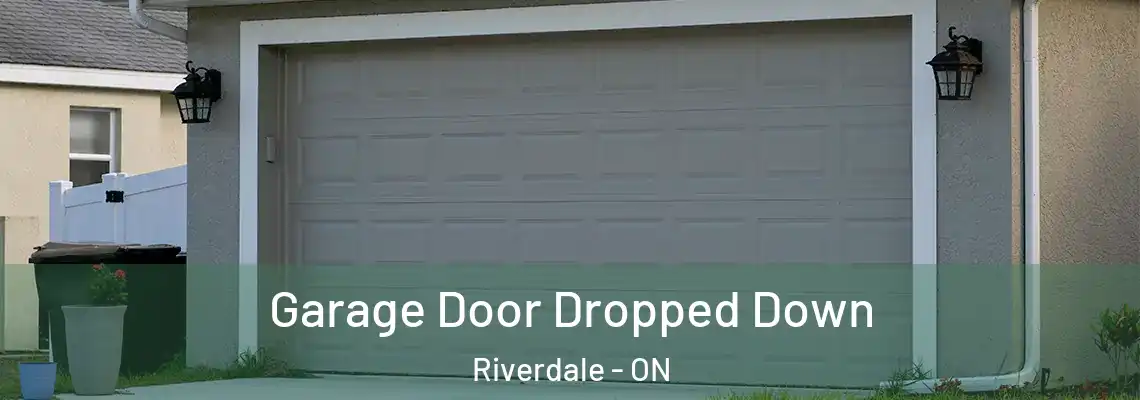 Garage Door Dropped Down Riverdale - ON
