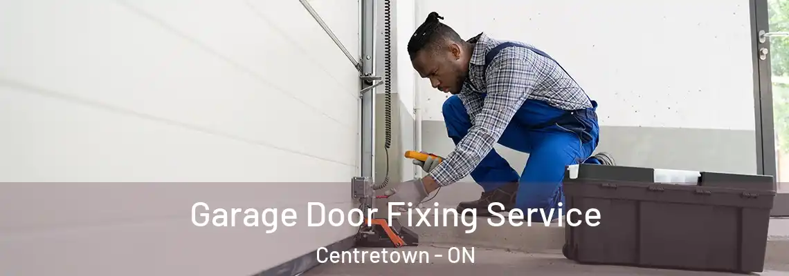 Garage Door Fixing Service Centretown - ON