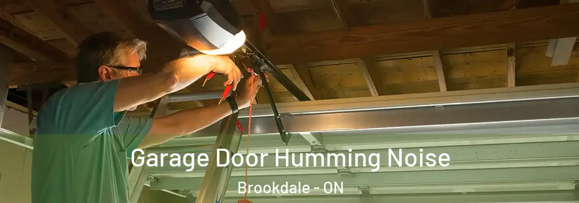 Garage Door Humming Noise Brookdale - ON