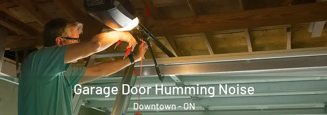 Garage Door Humming Noise Downtown - ON
