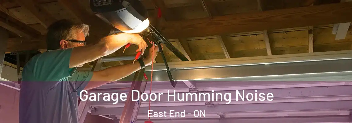 Garage Door Humming Noise East End - ON