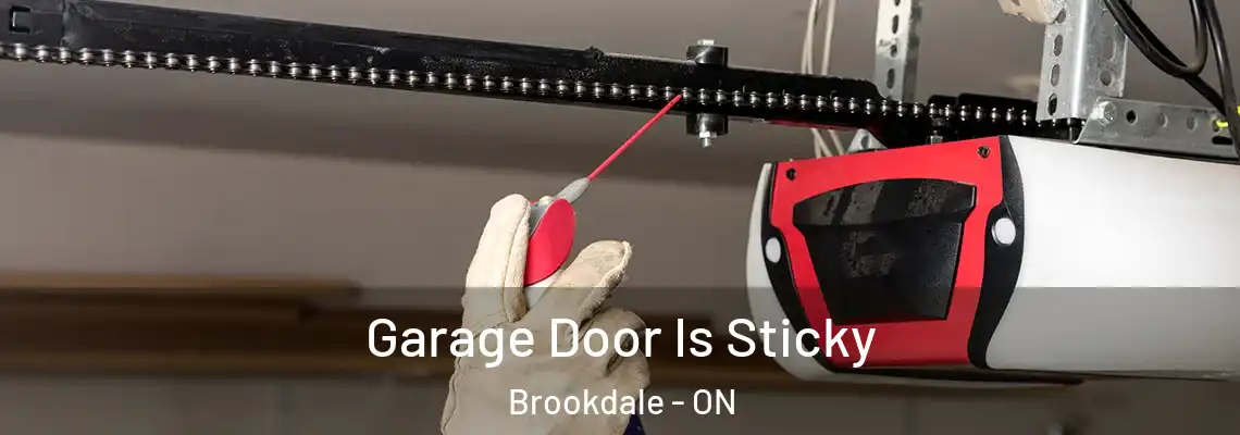 Garage Door Is Sticky Brookdale - ON