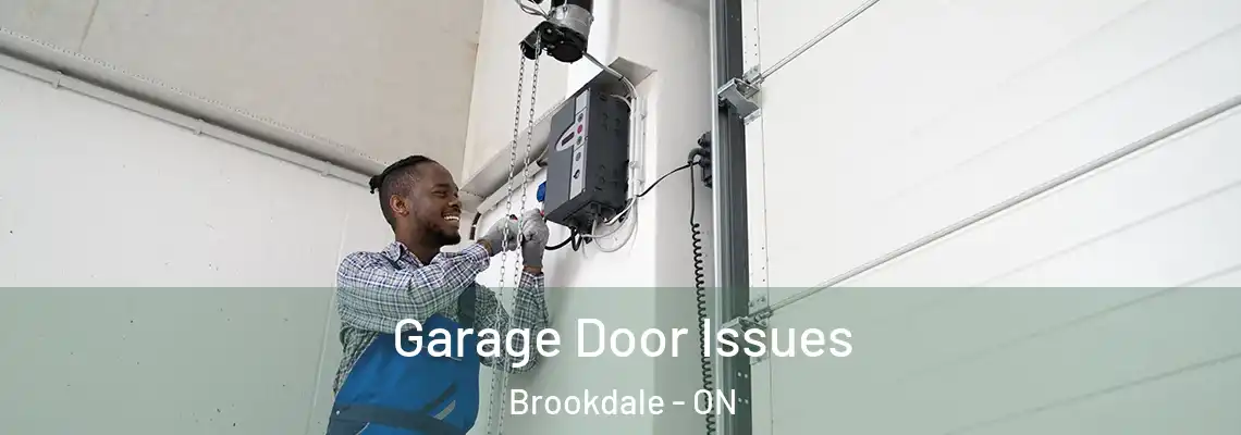 Garage Door Issues Brookdale - ON