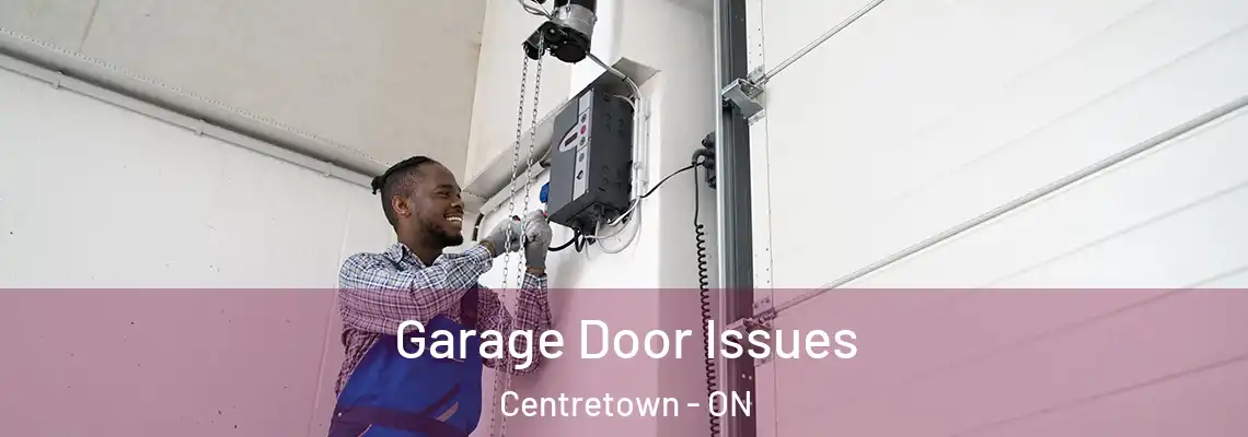 Garage Door Issues Centretown - ON
