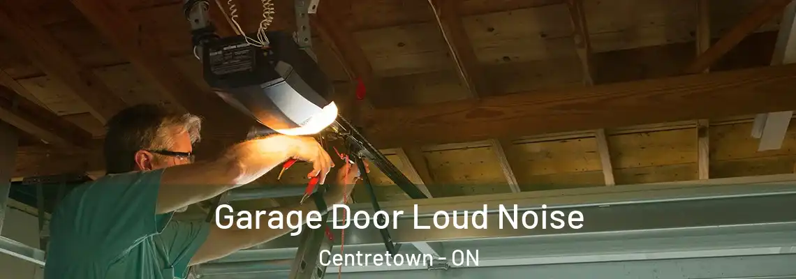 Garage Door Loud Noise Centretown - ON