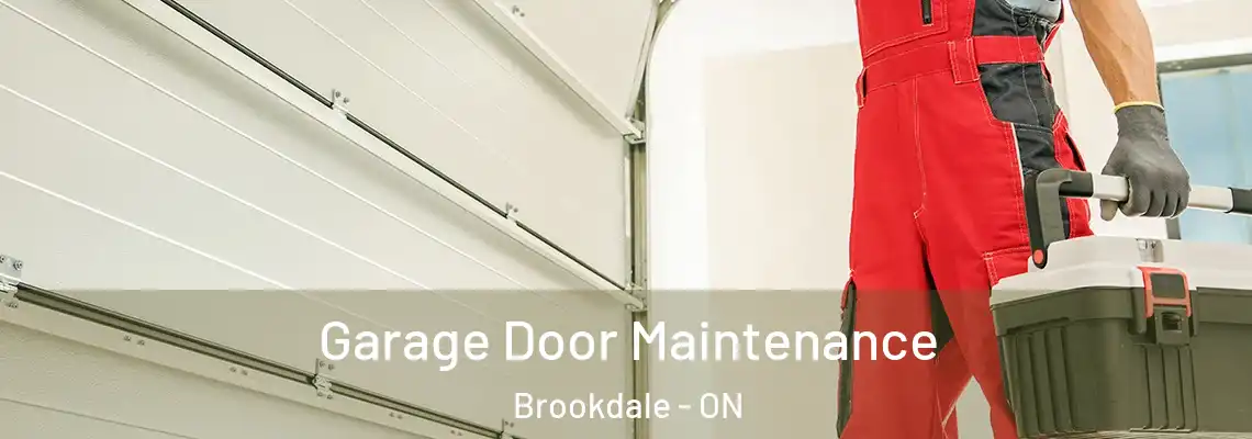 Garage Door Maintenance Brookdale - ON