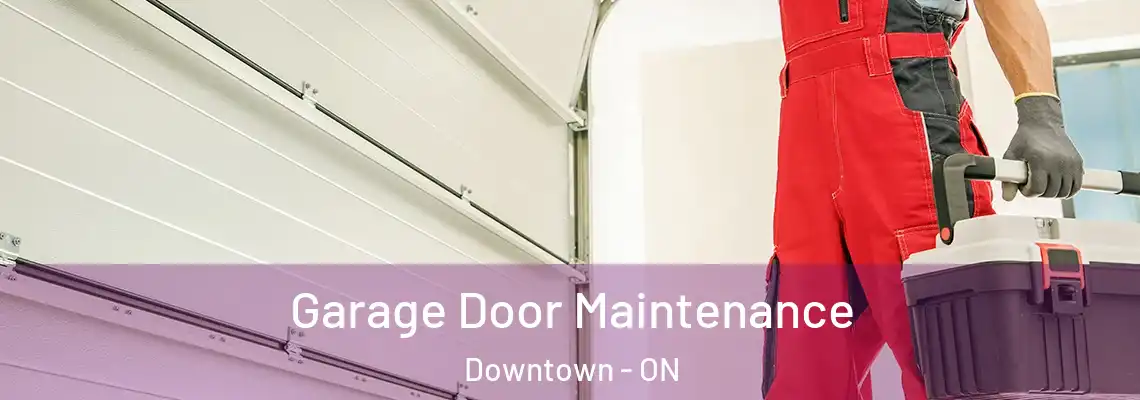 Garage Door Maintenance Downtown - ON