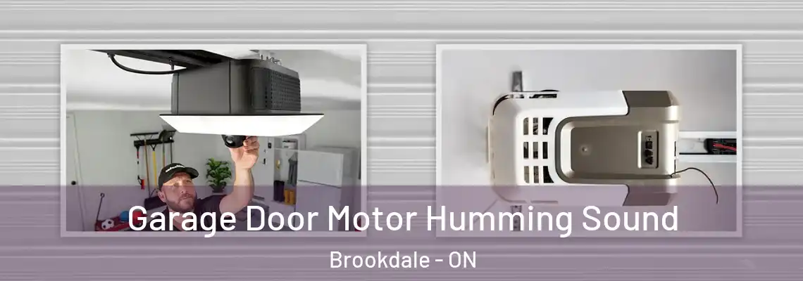 Garage Door Motor Humming Sound Brookdale - ON