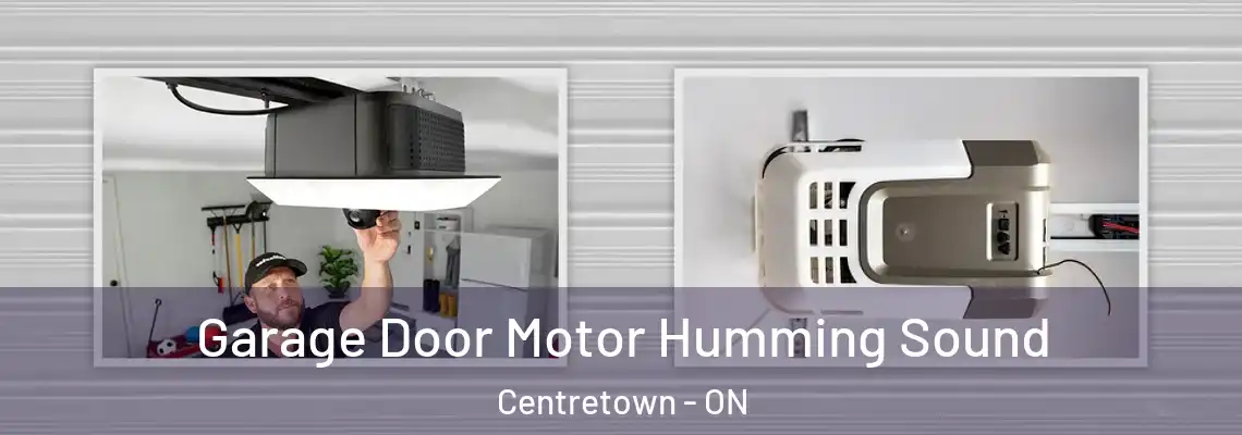 Garage Door Motor Humming Sound Centretown - ON