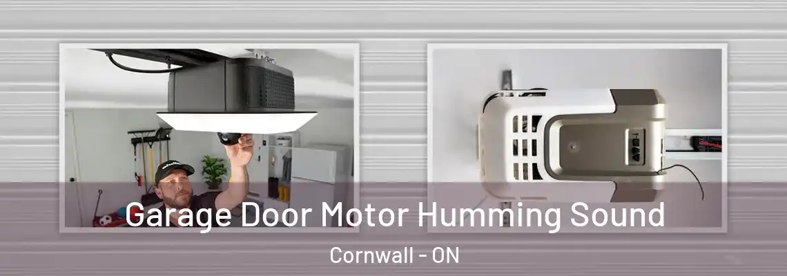 Garage Door Motor Humming Sound Cornwall - ON