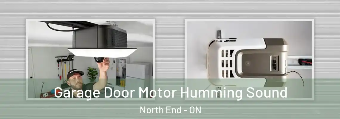 Garage Door Motor Humming Sound North End - ON
