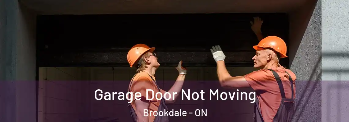 Garage Door Not Moving Brookdale - ON
