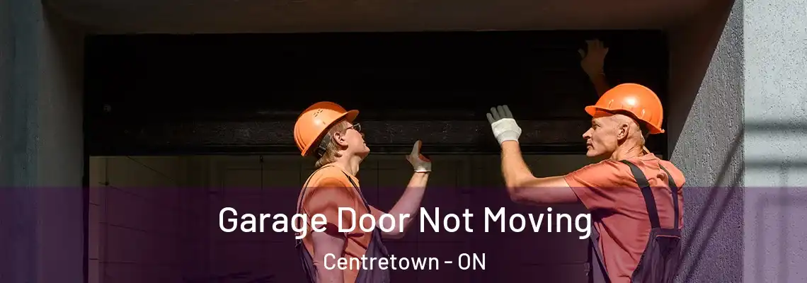 Garage Door Not Moving Centretown - ON