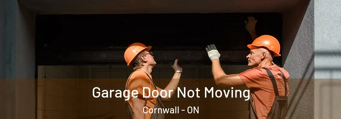 Garage Door Not Moving Cornwall - ON