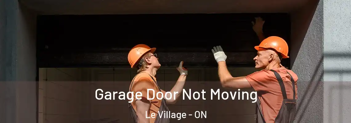 Garage Door Not Moving Le Village - ON