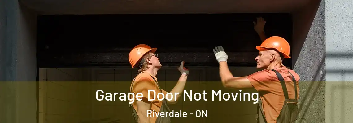 Garage Door Not Moving Riverdale - ON
