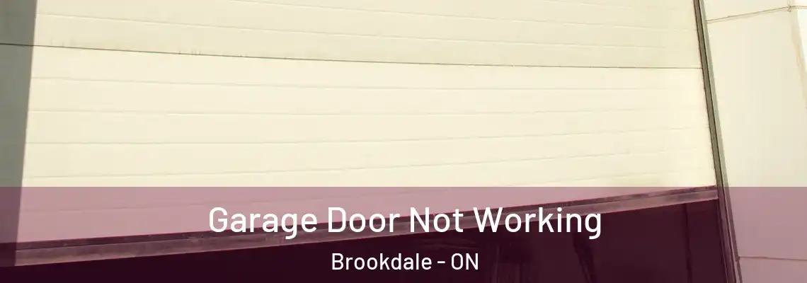 Garage Door Not Working Brookdale - ON