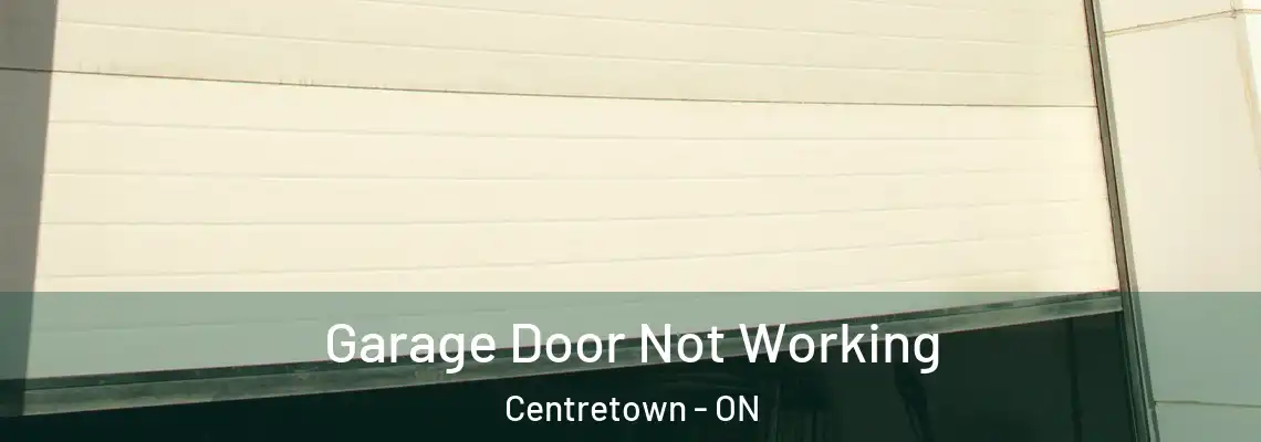 Garage Door Not Working Centretown - ON