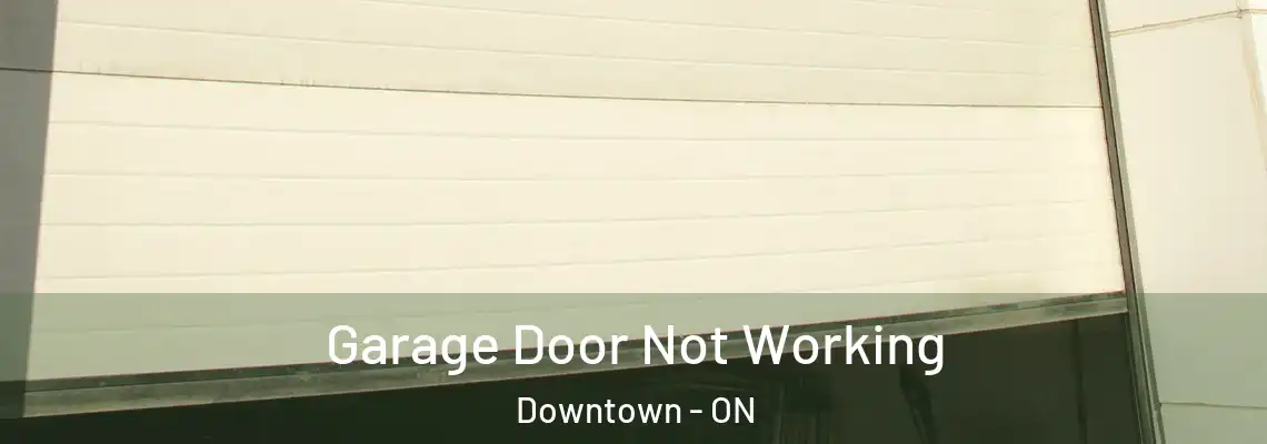 Garage Door Not Working Downtown - ON