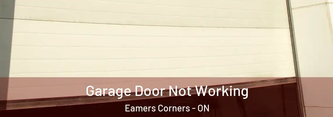 Garage Door Not Working Eamers Corners - ON