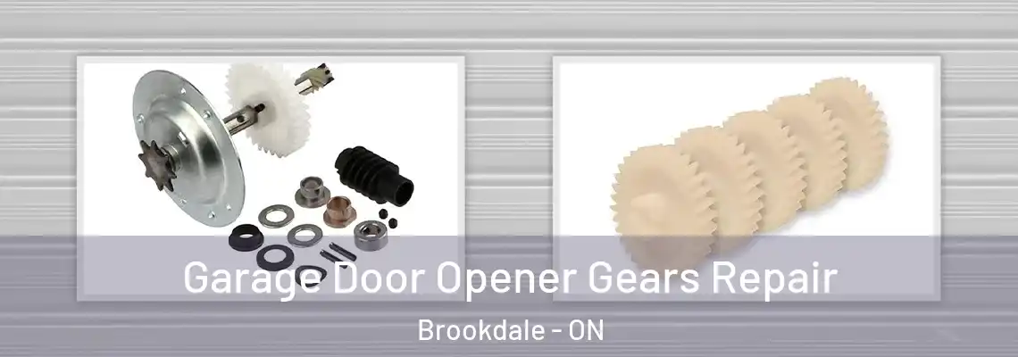 Garage Door Opener Gears Repair Brookdale - ON