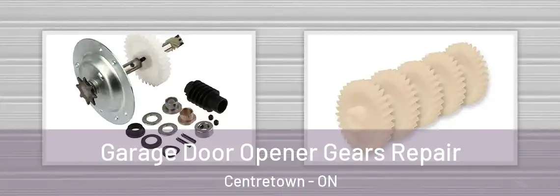 Garage Door Opener Gears Repair Centretown - ON