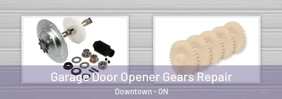 Garage Door Opener Gears Repair Downtown - ON