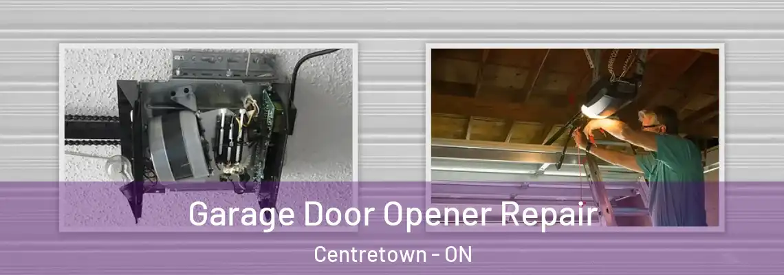 Garage Door Opener Repair Centretown - ON