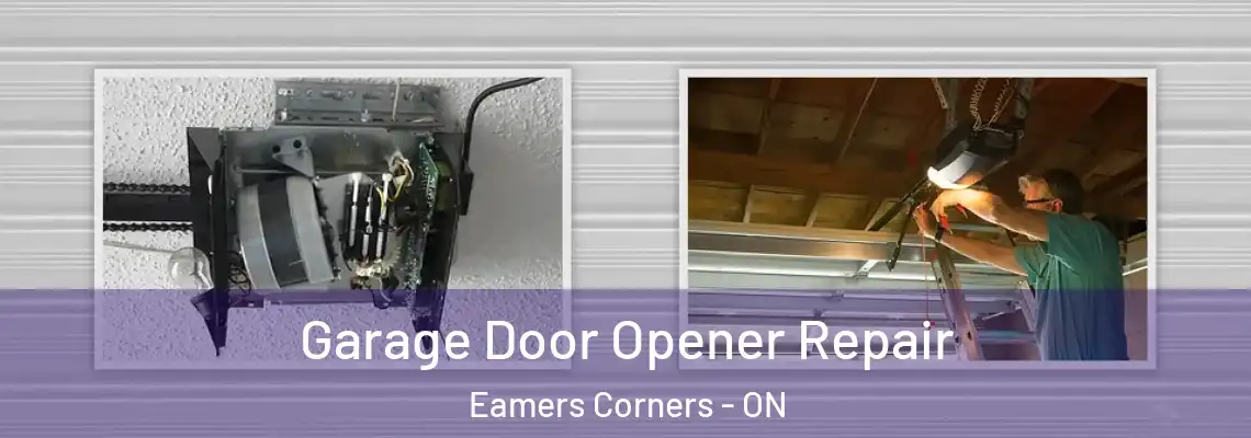 Garage Door Opener Repair Eamers Corners - ON