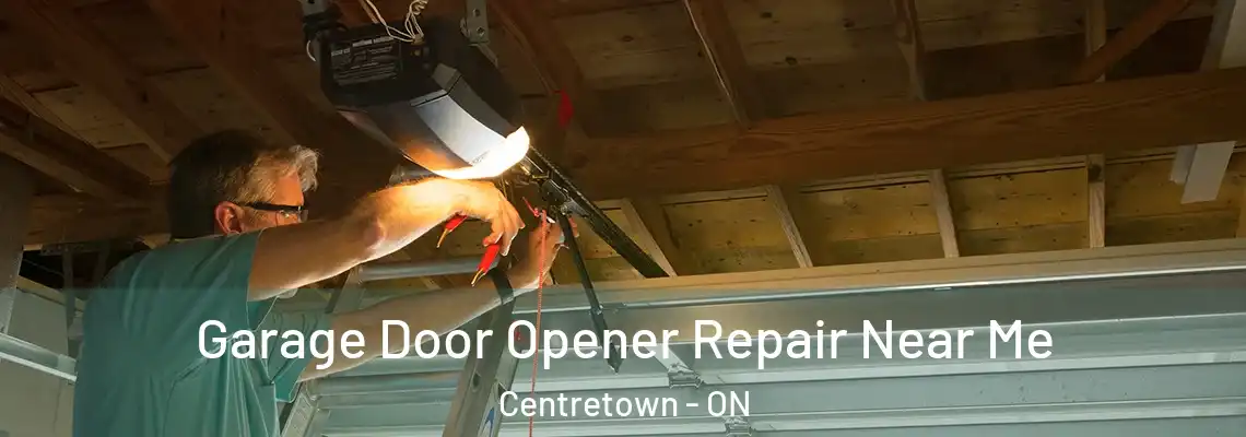 Garage Door Opener Repair Near Me Centretown - ON