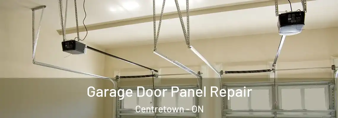Garage Door Panel Repair Centretown - ON
