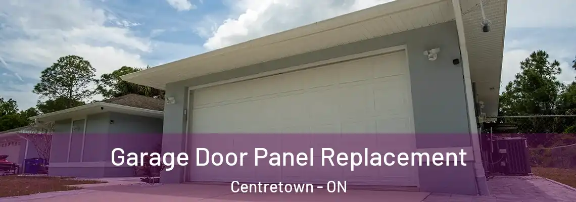 Garage Door Panel Replacement Centretown - ON