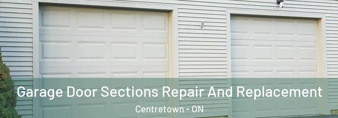 Garage Door Sections Repair And Replacement Centretown - ON