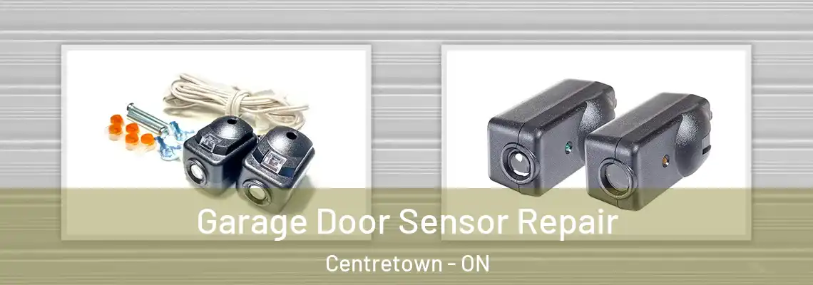 Garage Door Sensor Repair Centretown - ON