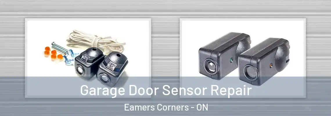 Garage Door Sensor Repair Eamers Corners - ON