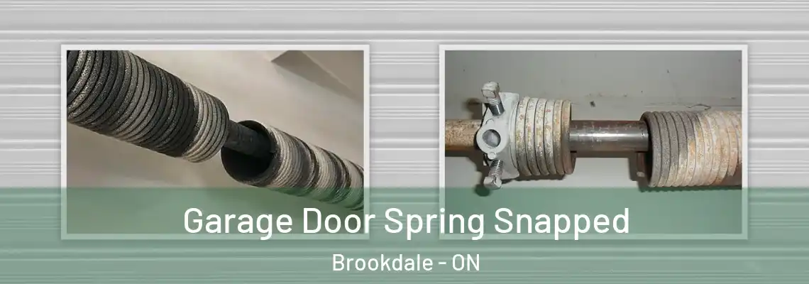 Garage Door Spring Snapped Brookdale - ON