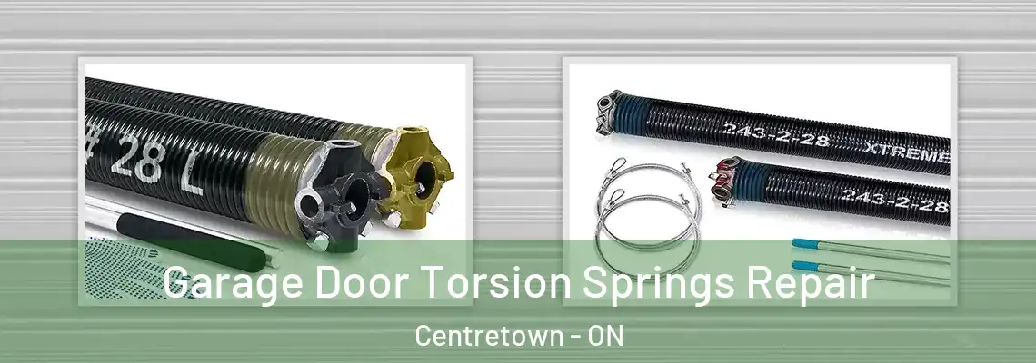 Garage Door Torsion Springs Repair Centretown - ON