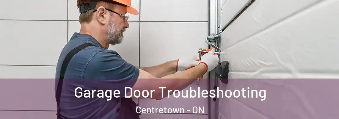 Garage Door Troubleshooting Centretown - ON
